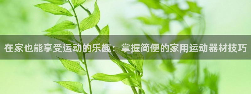 风速体育官网下载软件:在家也能享受运动的乐趣:掌握简便的家用