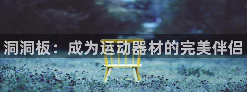 风速体育官网下载:洞洞板:成为运动器材的完美伴侣