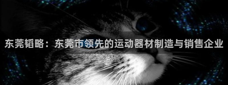 风速体育官网下载平台假的吗是真的吗吗:东莞韬略:东莞市领先的