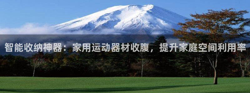 风速体育官方正版app娱乐平台:智能收纳神器:家用运动器材收